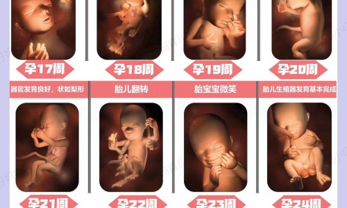 怀孕期间可以热敷肚子吗-孕妇可以热敷乳房吗网 - 怀孕热敷乳房注意事项,孕妇可以热敷乳房吗晚期